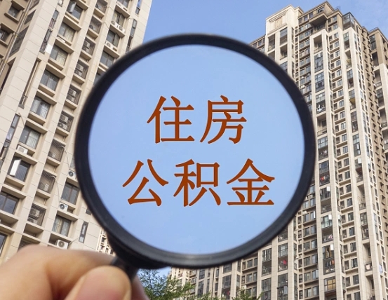 龙口退休后查不到公积金明细了吗（退休后公积金查询不到原因）